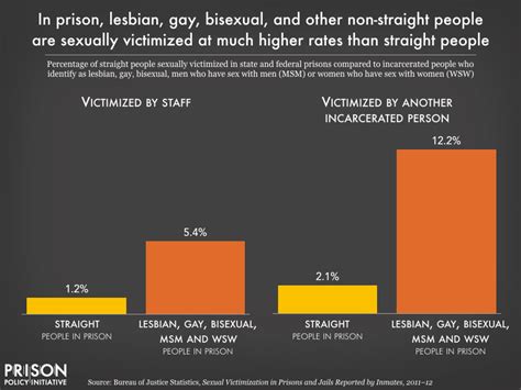 Prison sexuality